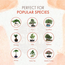 Load image into Gallery viewer, Organic Bonsai Food