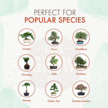 Load image into Gallery viewer, Slow Release Bonsai Food