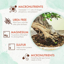 Load image into Gallery viewer, Slow Release Bonsai Food