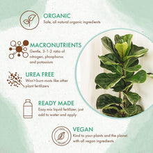 Load image into Gallery viewer, Organic Fiddle Leaf Fig Food