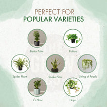 Load image into Gallery viewer, Organic Indoor Plant Food