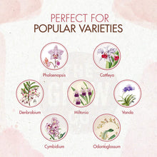 Load image into Gallery viewer, Slow Release Orchid Plant Food