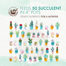 Load image into Gallery viewer, Slow Release Succulent & Cactus Food