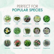 Load image into Gallery viewer, Slow Release Succulent & Cactus Food