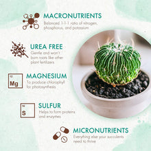 Load image into Gallery viewer, Slow Release Succulent &amp; Cactus Food
