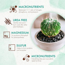 Load image into Gallery viewer, Slow Release Succulent & Cactus Food