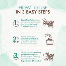 Load image into Gallery viewer, Slow Release Succulent & Cactus Food