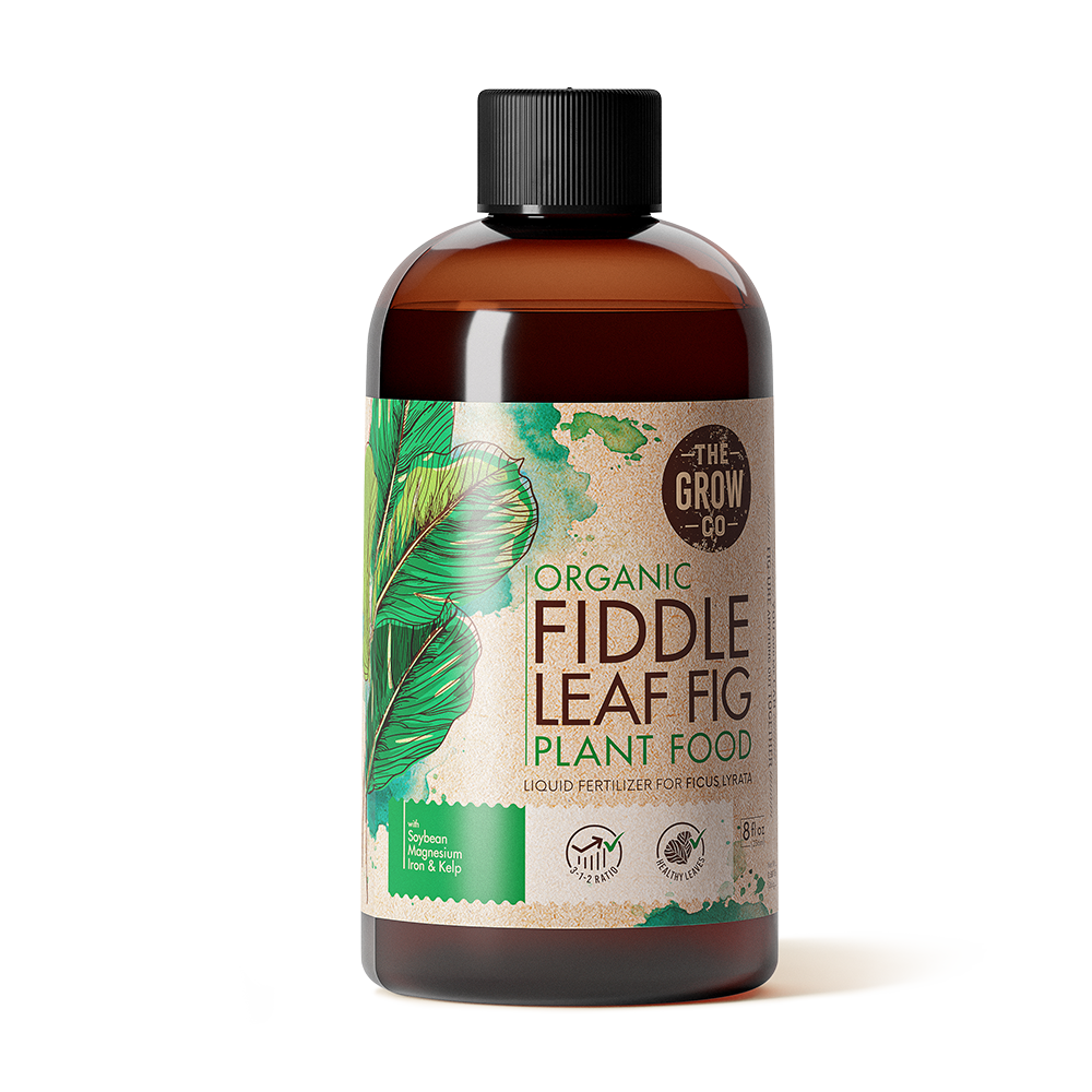 fiddle fig leaf fertilizer Organic Fiddle Leaf Fig Plant Food Liquid by The Grow Co