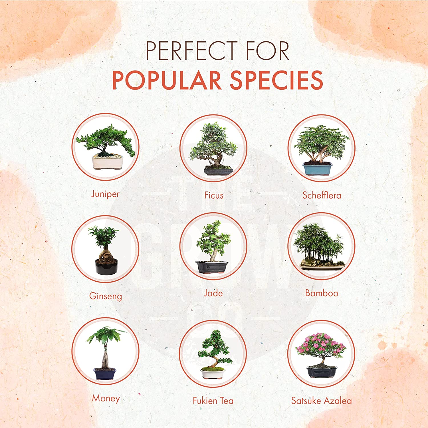 bonsai tree food Organic Bonsai Food – The Grow Co