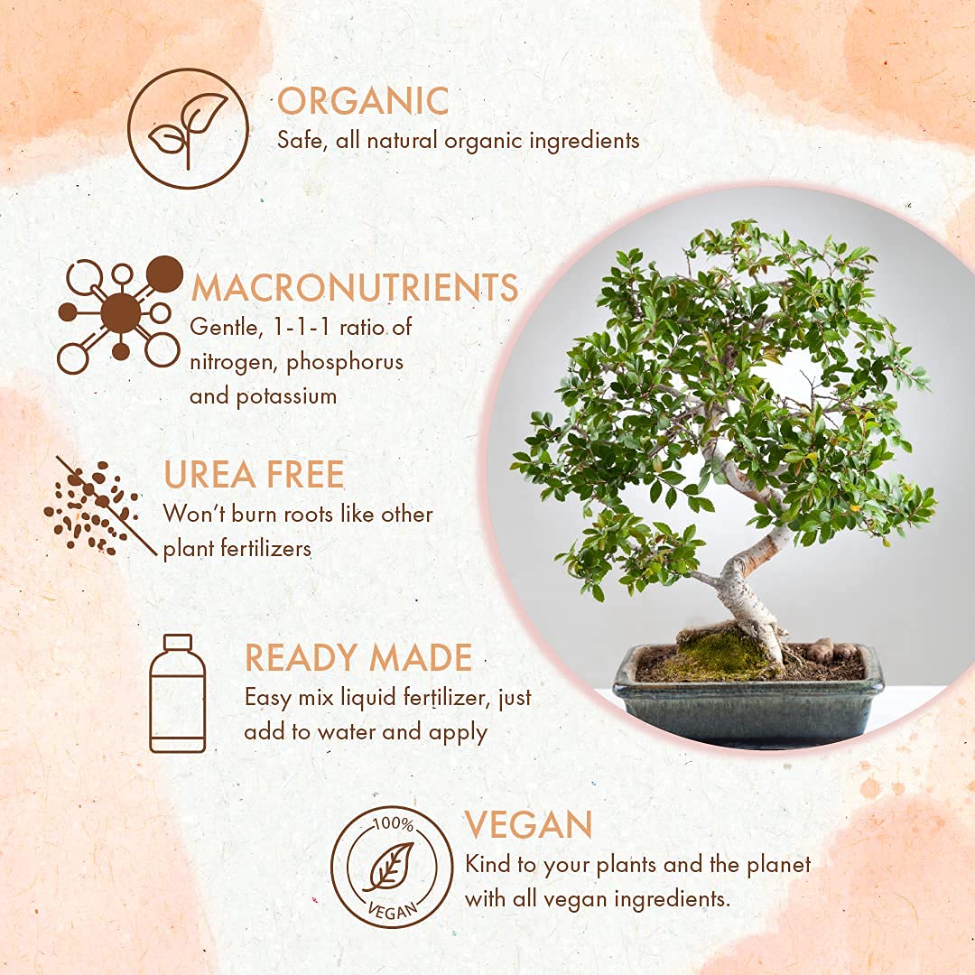 bonsai tree liquid fertilizer Organic Bonsai Food