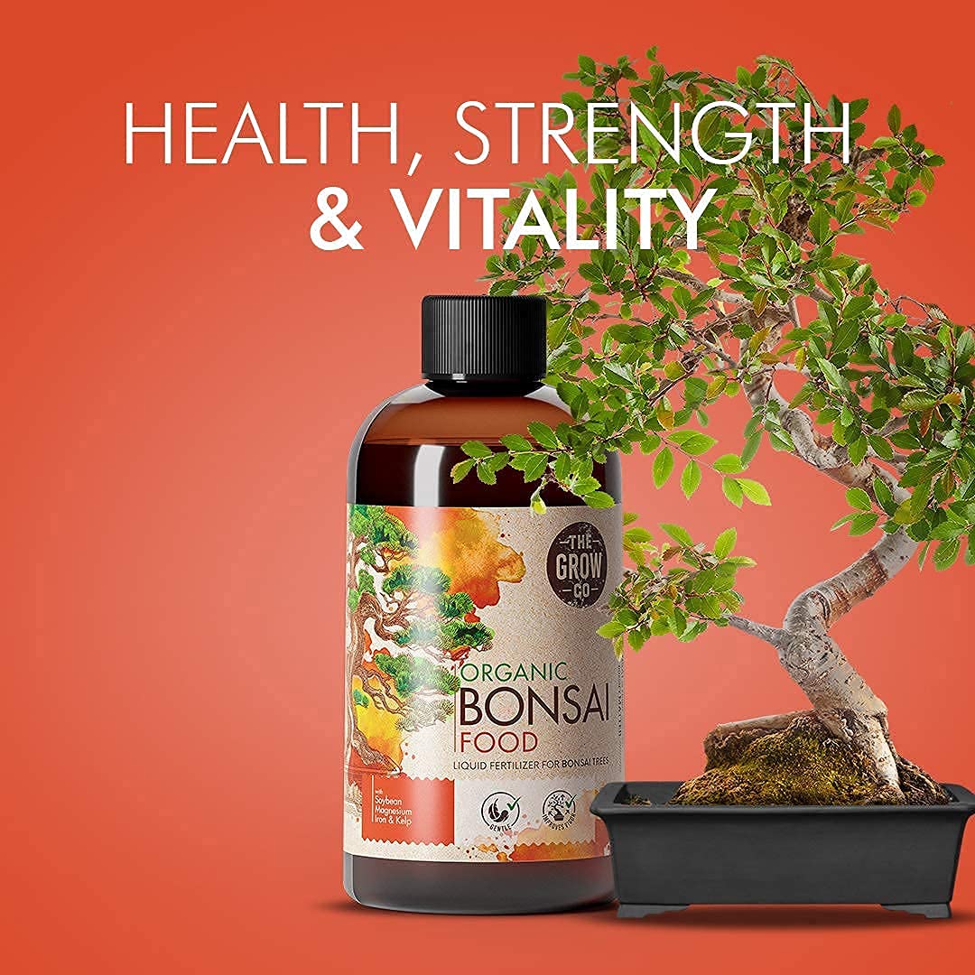 food for bonsai tree Organic Bonsai Food
