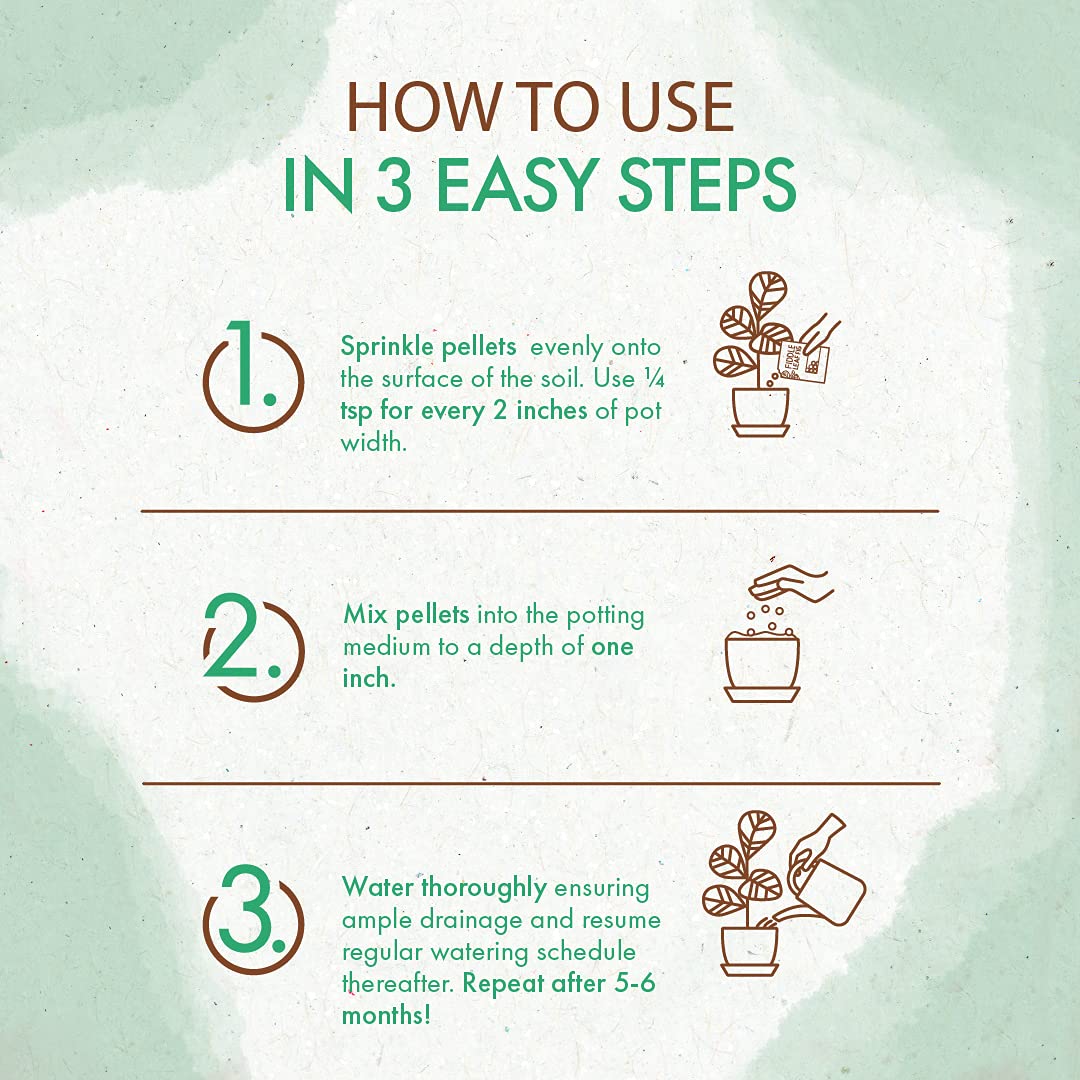 watering schedule for fiddle leaf fig Slow Release Fiddle Leaf Fig Plant Food – The Grow Co