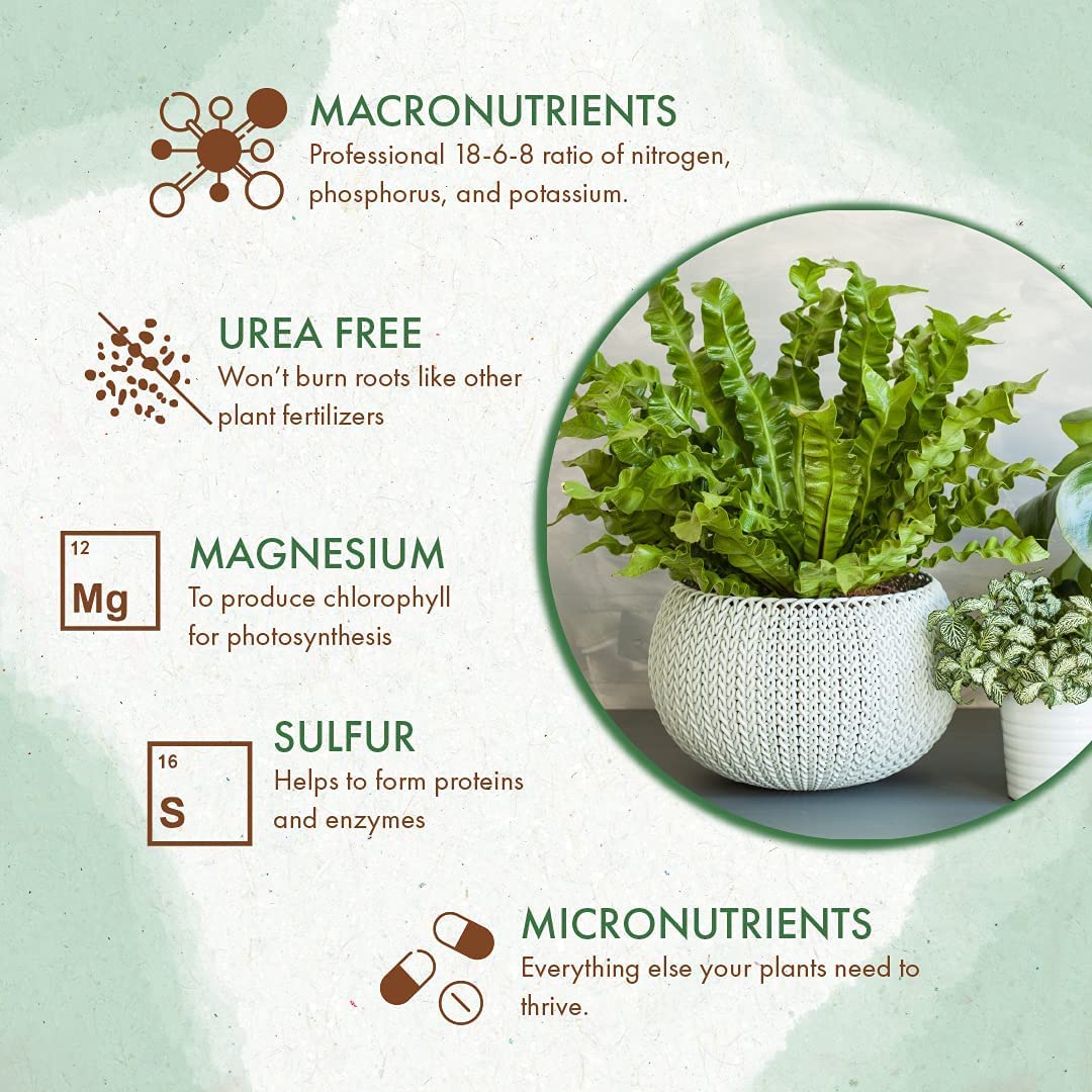 indoor plant slow release fertilizer Slow Release Indoor Plant Food