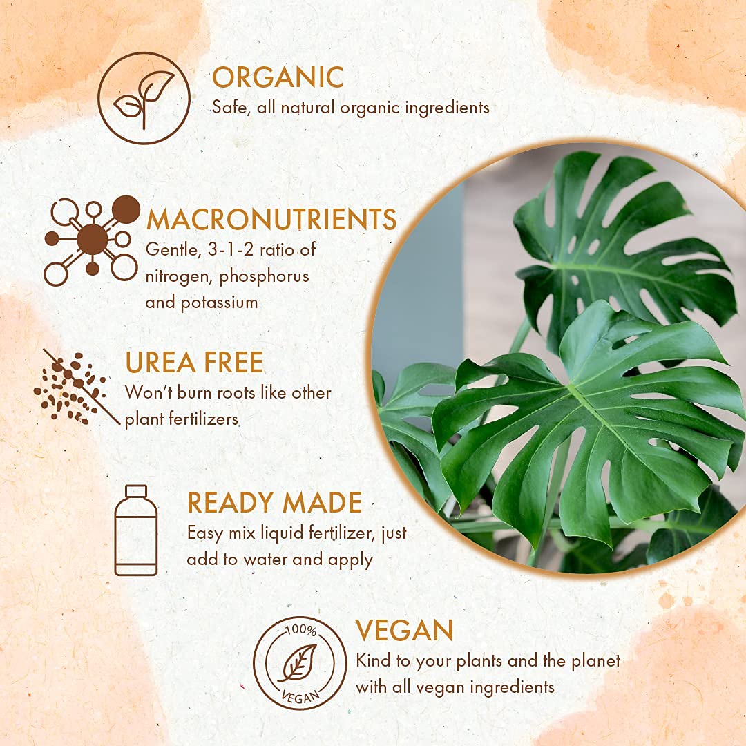 monstera plant feed Organic Monstera Plant Food