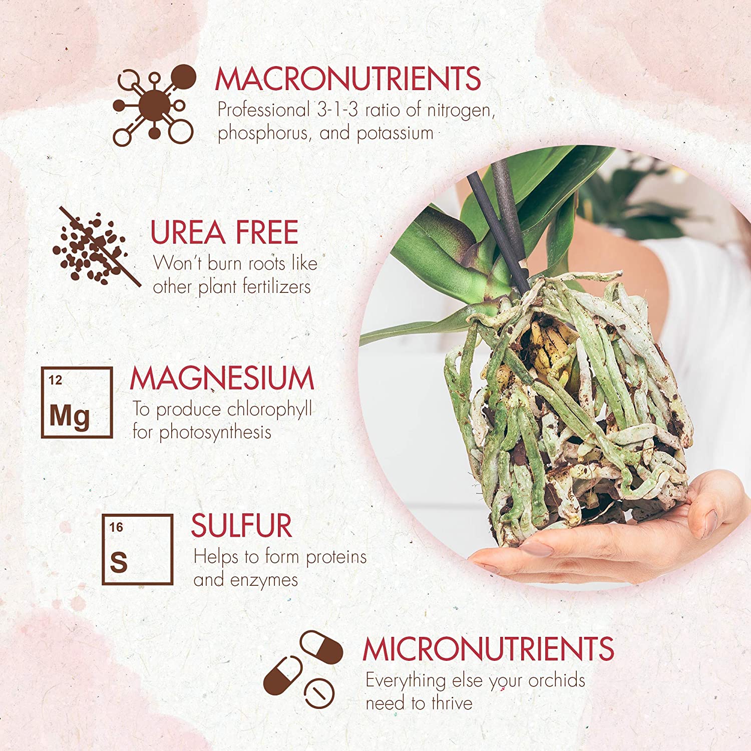 can orchid fertilizer be used for other plants Slow Release Orchid Plant Food – The Grow Co
