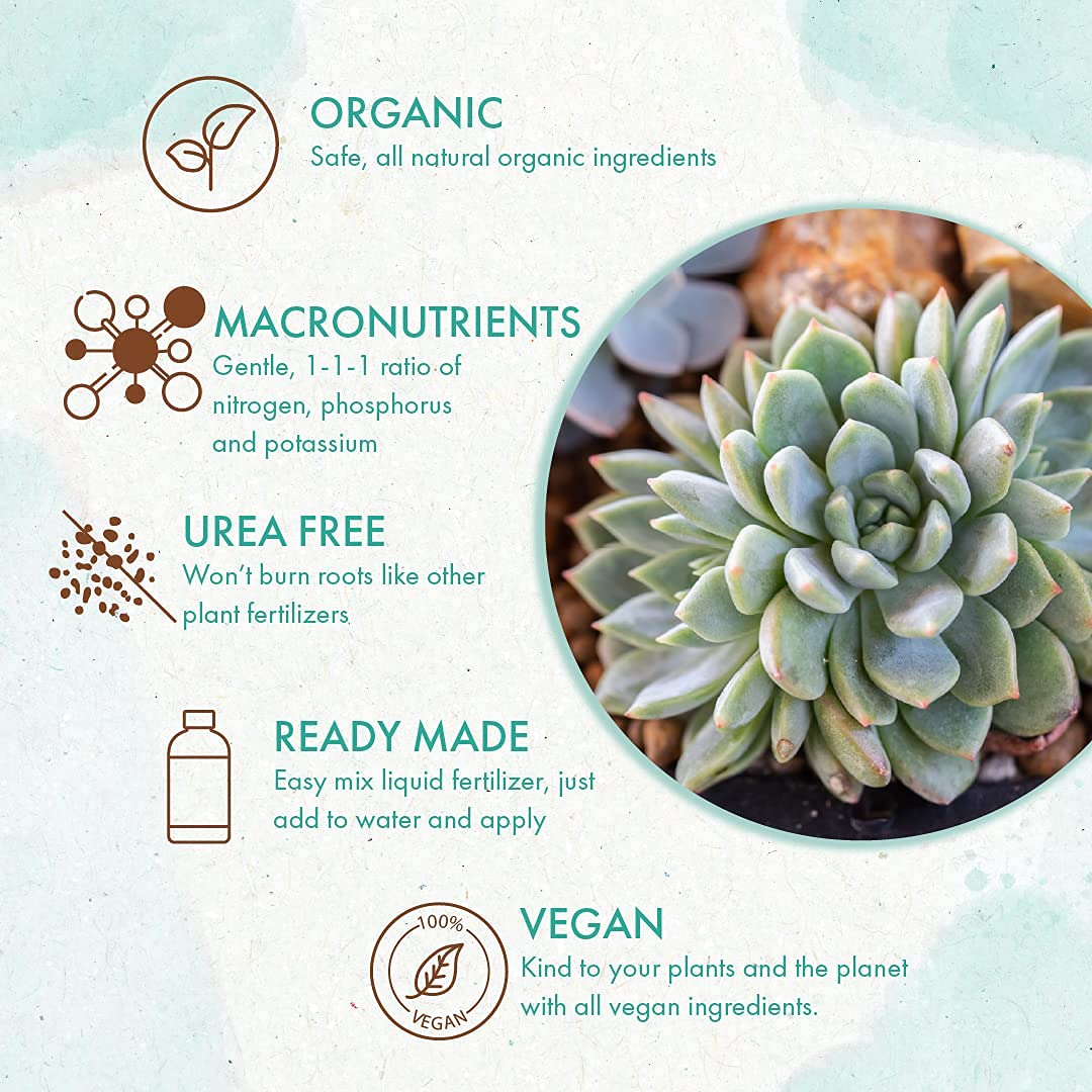 cactus and succulent food Organic Succulent & Cactus Food – The Grow Co