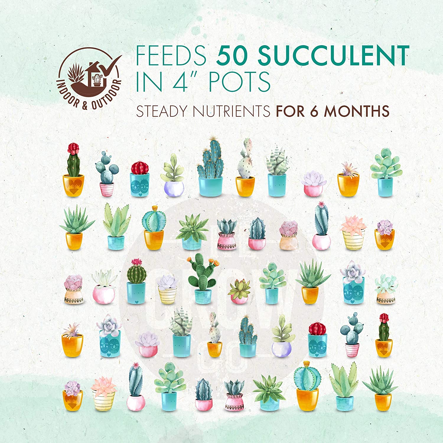 the grow co succulents and cactus plant food Slow Release Succulent & Cactus Food – The Grow Co